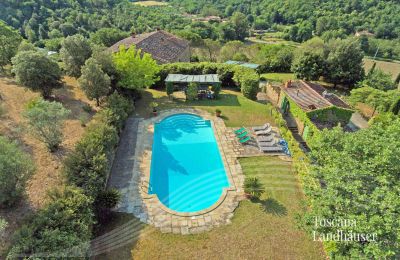 Casa di campagna in vendita Arezzo, Toscana, RIF 2993 Blick auf Pool und Anwesen