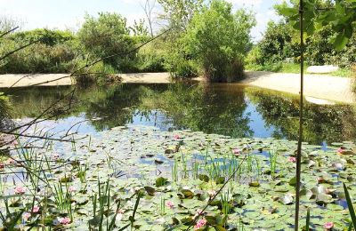 Villa padronale in vendita Gémozac, Nuova Aquitania, Der Teich mit Sandstrand