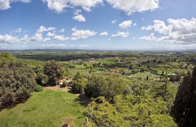 Villa storica in vendita Campiglia Marittima, Toscana, Giardino