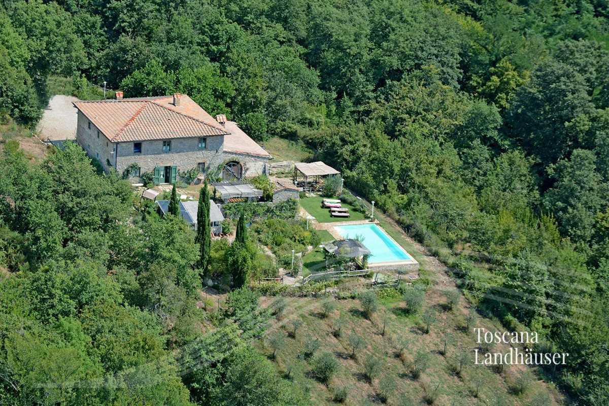 Immagini Rustico nel Chianti con piscina