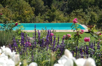 Casa di campagna in vendita Gaiole in Chianti, Toscana, RIF 3003 Pool