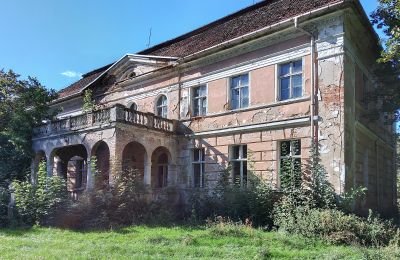 Castello in vendita Granówko, Wielkopolska, Foto 15/16