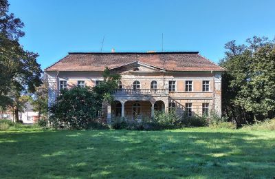 Castello in vendita Granówko, Wielkopolska, Vista posteriore