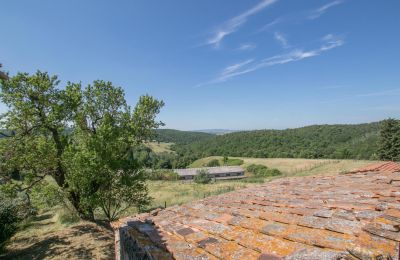 Casale in vendita Asciano, Toscana, RIF 2982 Blick auf Landschaft