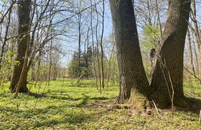 Parco storico in vendita Dębe Wielkie, Ruda, Mazovia, Foto 19/24