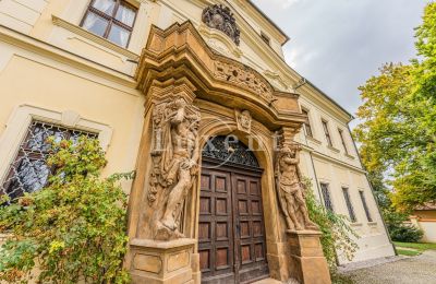 Palazzo in vendita Mirošov, Zámek Mirošov, Plzeňský kraj, Foto 28/30