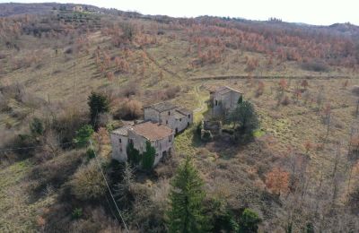 Casale in vendita 06019 Umbertide, Umbria, Foto 12/20