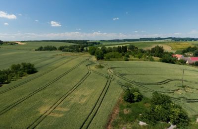 Villa storica in vendita Strzelin, Kazanów 21, Bassa Slesia, Foto 33/35