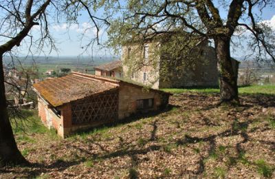 Casale in vendita Siena, Toscana, RIF 3071 Blick auf Rustico