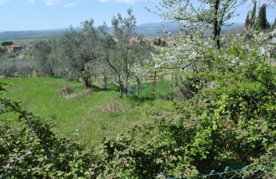 Casale in vendita Siena, Toscana, RIF 3071 Garten