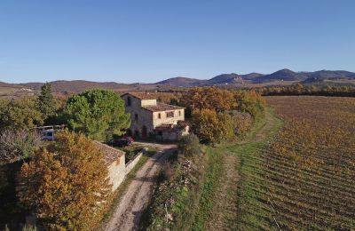 Casa rurale in vendita Gaiole in Chianti, Toscana, RIF 3073 Anwesen und Zufahrt