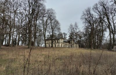 Palazzo in vendita Stradzewo, Pałac w Stradzewie, województwo zachodniopomorskie, Parco