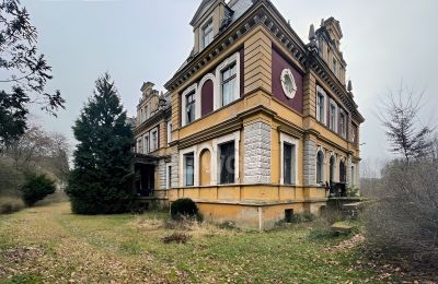 Palazzo in vendita Olszyna Dolna, Pałac Olszyna, Bassa Slesia, Vista posteriore