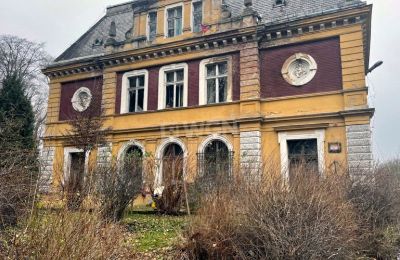 Palazzo in vendita Olszyna Dolna, Pałac Olszyna, Bassa Slesia, Foto 4/7