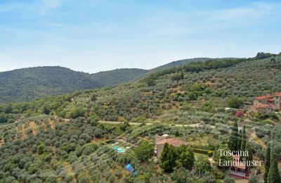 Casa di campagna in vendita Loro Ciuffenna, Toscana, RIF 3098 Anwesen und Umgebung