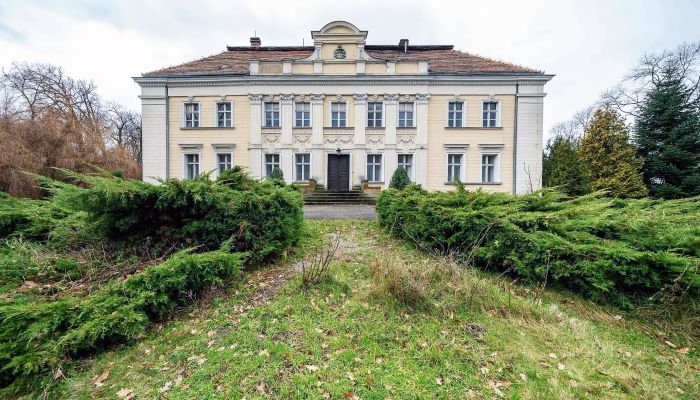 Palazzo in vendita Gola, Wielkopolska,  Polonia