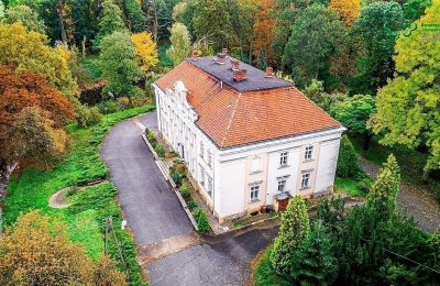 Palazzo in vendita Gola, Wielkopolska, Foto con drone