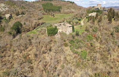 Castello in vendita 06026 Pietralunga, Umbria, Proprietà