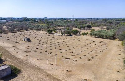 Villa padronale in vendita Oria, Puglia, Proprietà