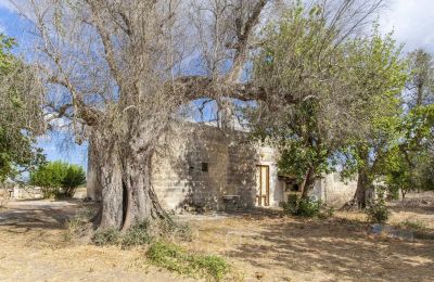 Villa padronale in vendita Oria, Puglia, Foto 27/28