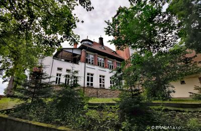 Villa storica in vendita Karlovy Vary, Karlovarský kraj, Foto 3/10