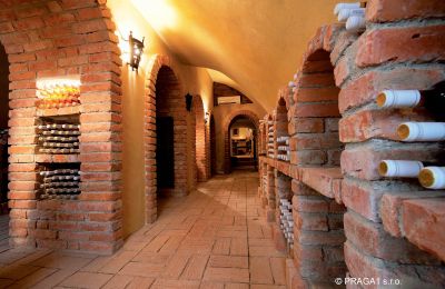 Palazzo in vendita Hlavní město Praha, Cantina