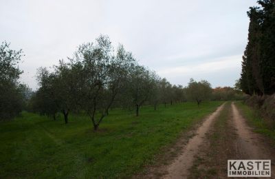 Monastero in vendita Peccioli, Toscana, Foto 14/28