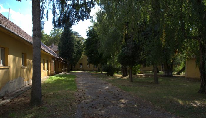 Villa padronale Kravany nad Dunajom 3