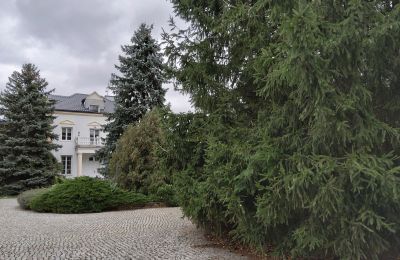 Villa padronale in vendita Zarębów, Dwór w Zarębowie, województwo łódzkie, Foto 19/22