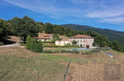 Villa padronale in vendita Sansepolcro, Toscana, Foto 15/41