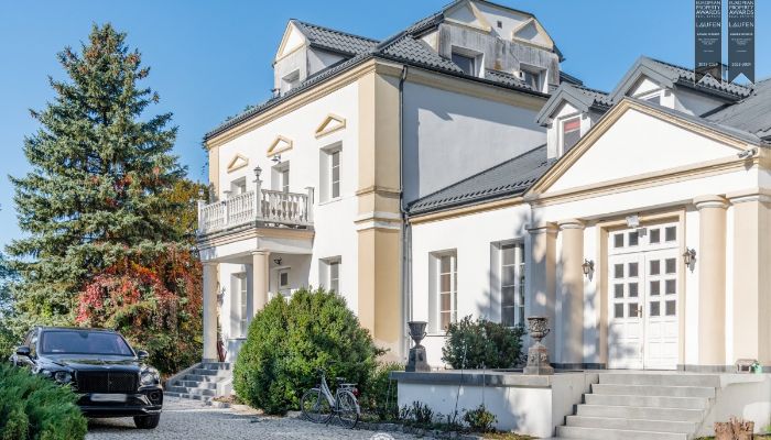 Villa padronale Żychlin 2