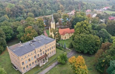 Palazzo in vendita powiat gorzowski, gmina Witnica, Dąbroszyn, Pałac w Dąbroszynie, województwo lubuskie, © Stowarzyszenie Templum