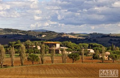 Villa padronale in vendita Buonconvento, Toscana, Foto 8/9