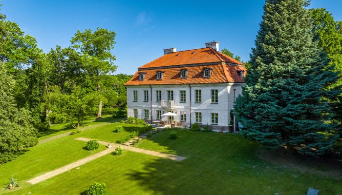 Villa padronale in vendita Dawidy, Voivodato di Varmia-Masuria,  Polonia