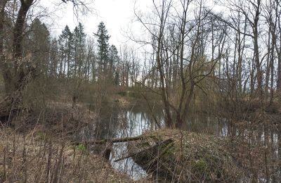 Villa padronale in vendita Drawno, województwo zachodniopomorskie, Stagno/Lago