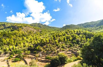 Villa padronale in vendita Estellencs, Isole Baleari, Vista