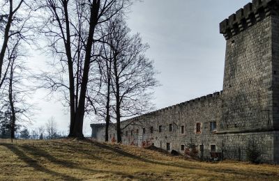 Ritratto della proprietà: Castello Boberstein/Bobrów, Foto 16