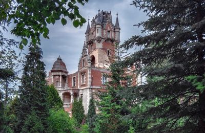 Ritratto della proprietà: Castello Boberstein/Bobrów, Foto 1