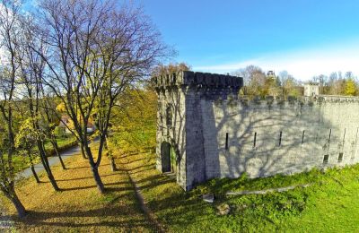 Ritratto della proprietà: Castello Boberstein/Bobrów, Foto 15