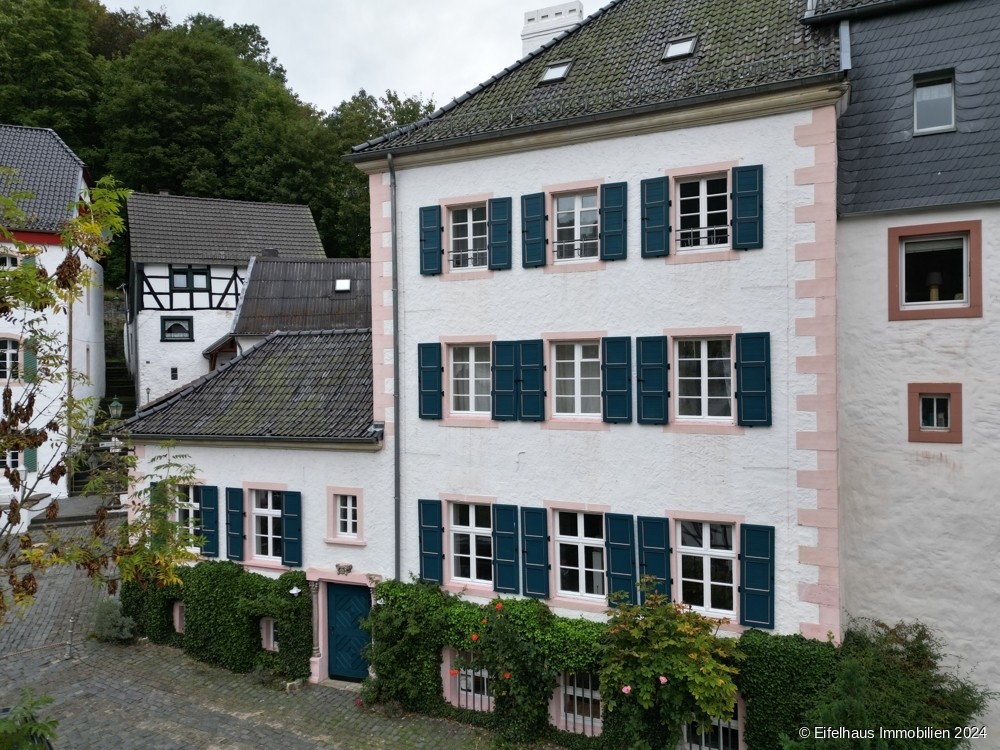 Immagini Historisches Stadthaus-Juwel, saniert, auf 5 Ebenen: Wohnen, Arbeiten, Ausstellen, ges. 234 m²