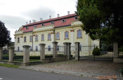 Villa padronale in vendita Regione di Trnava, Vista frontale