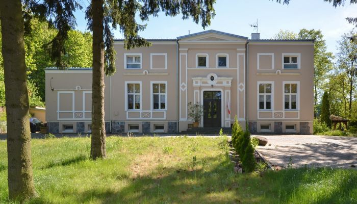 Villa padronale powiat ostródzki, gmina Ostróda, Grabin, Grabinek