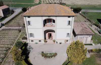 Villa storica in vendita Zibello, Emilia-Romagna, Foto con drone