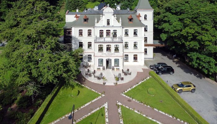 Villa storica in vendita Duszniki-Zdrój, Bassa Slesia,  Polonia
