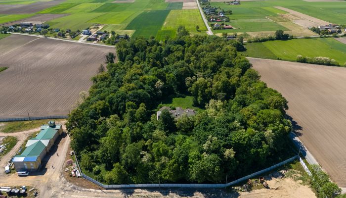 Villa padronale Lubiatów 2