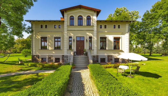 Villa padronale Czekanowo 1