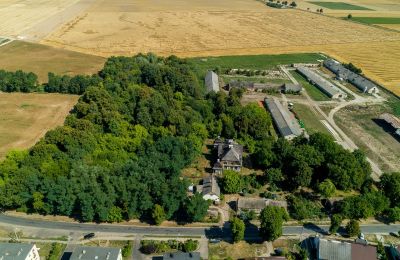 Villa padronale in vendita Rogoźno, Dwór w Studzieńcu 28, Wielkopolska, Posizione dell'immobile