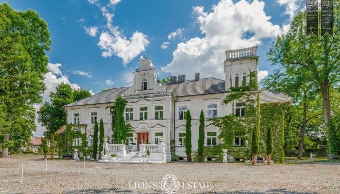 Villa padronale in vendita Pstrokonie, województwo łódzkie,  Polonia