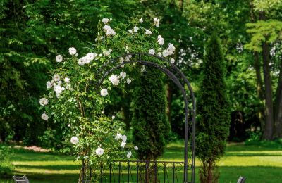 Villa padronale in vendita Pstrokonie, województwo łódzkie, Foto 3/50