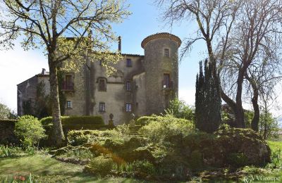 Immobili di carattere, Castello nel Parco Naturale dei Grands Causses, nel sud della Francia